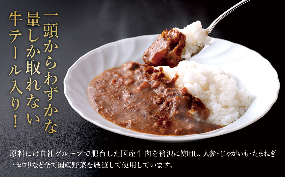 牛テール カレー セット 冷凍(200g × 10パック 計 2,000g