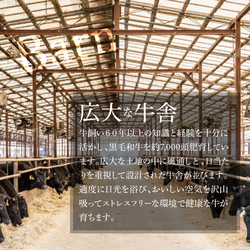 宮崎県木城町のふるさと納税 ＜有田牧場直送この華牛 ドーンと盛合せフリースライス 1.4kg＞ K20_0018_2