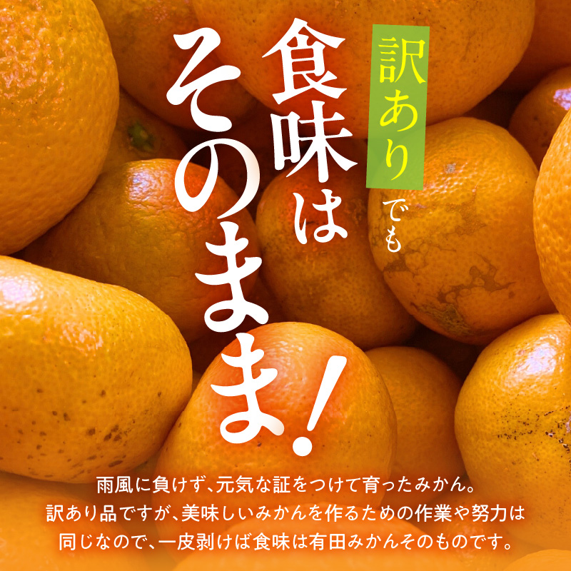 和歌山県湯浅町のふるさと納税 MK1048_【2025年先行予約】訳あり それでも みかん 箱込 2.5kg ( 内容量 2.3kg ) サイズミックス Ｂ品 有田みかん 和歌山県産 産地直送 家庭用【みかんの会】