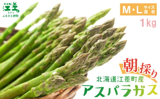 [夏芽 予約受付 6月中旬〜順次出荷]2025年 北海道江差町産 アスパラガス[M〜Lサイズ] 1kg 30〜40本 朝採り 農家直送 新鮮 鮮度保持 北海道 旬野菜 グリーンアスパラ アスパラガス ギフト 贈答