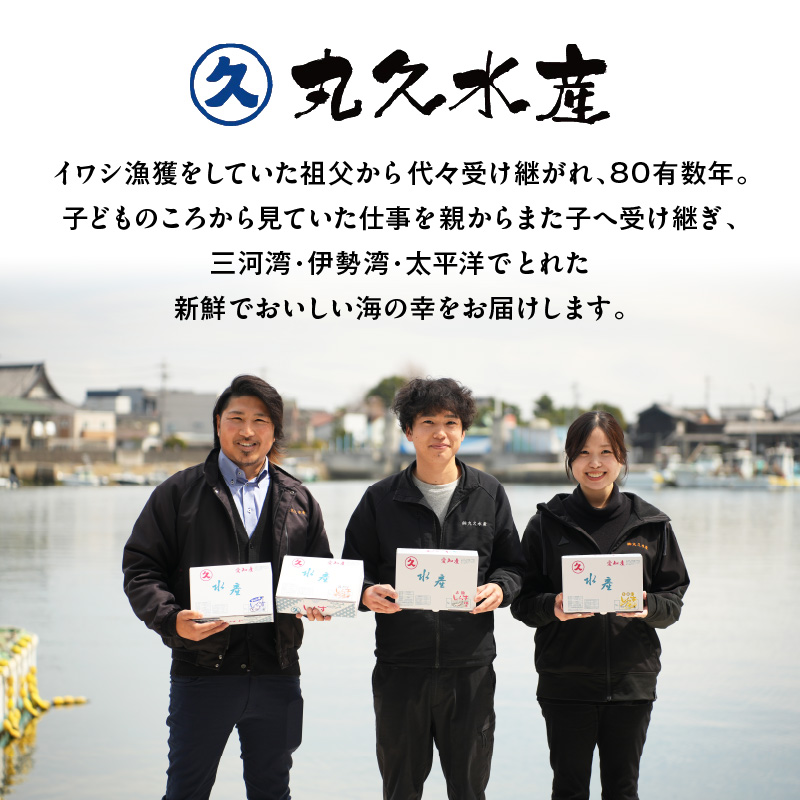 愛知県碧南市のふるさと納税 訳あり モリモリ2kg！バラエティ豊富な三河しらす～海の仲間たち～　H018-040
