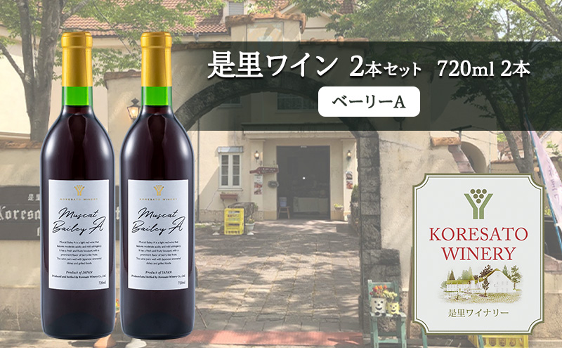 【岡山県赤磐市】是里 ワイン 果実酒 ベーリーA 720ml  2本 岡山 赤磐市 お酒