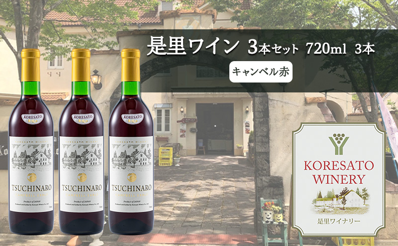 【岡山県赤磐市】是里 ワイン 果実酒 キャンベル赤 720ml 3本 岡山 赤磐市 お酒