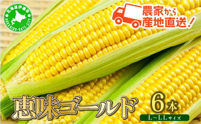 やまけんや とうもろこし 恵味ゴールド 6