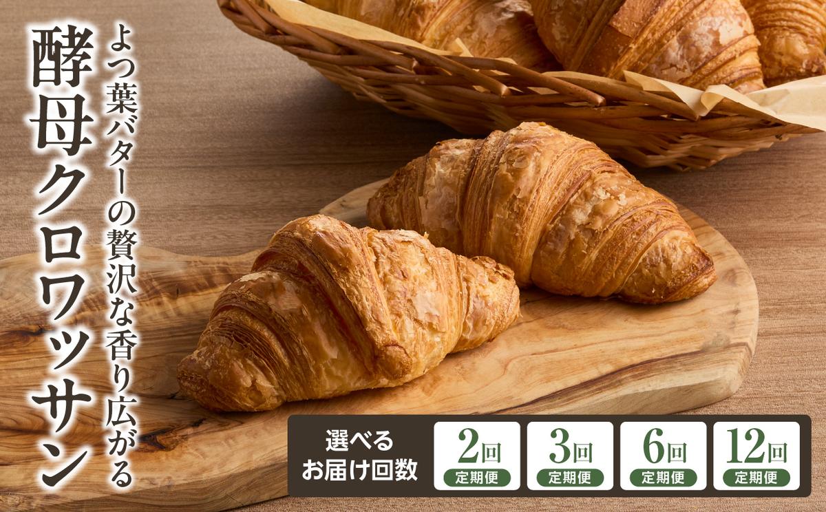 [定期便]よつ葉バターの贅沢な香り広がる♪酵母クロワッサン10個 選べる回数(2回・3回・6回・12回)