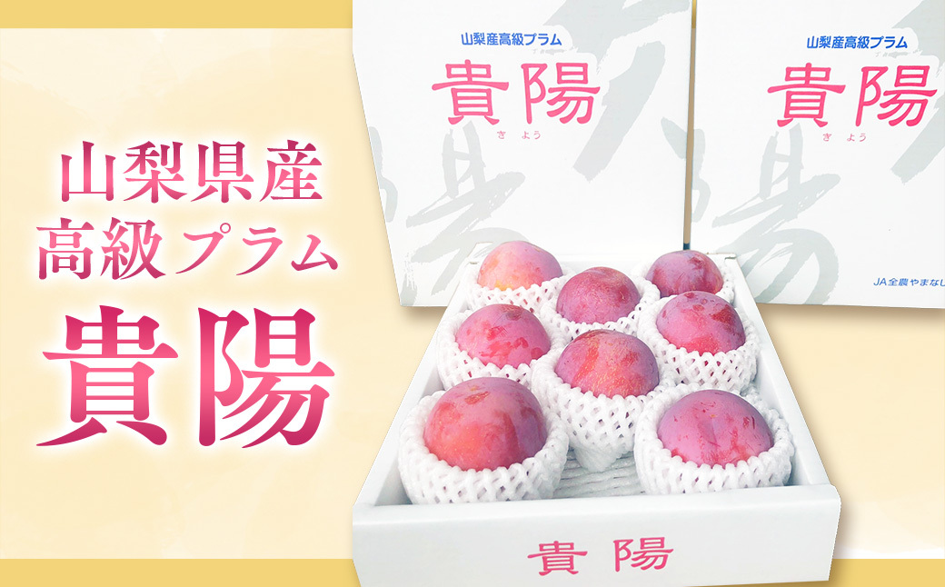 すももにはクエン酸などが多く含まれていますので、疲労回復に効果があります [先行予約2025年/令和7年発送分]貴陽 すもも 6〜9個入り 山梨県産 スモモ もも モモ 高級 フルーツ くだもの 果物 おすすめ 人気 山梨県 甲斐市 AV-6