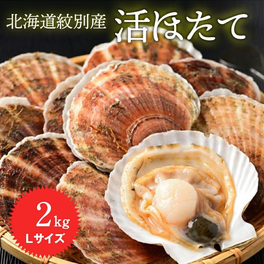 北海道紋別市のふるさと納税 11-145 北海道紋別産 活ホタテ2kg(Lサイズ)