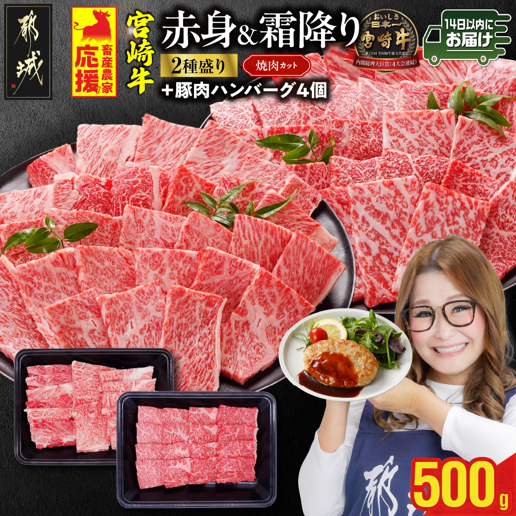 畜産農家応援! 宮崎牛焼肉2種セット250g×2パック+豚肉ハンバーグ100g×4個≪みやこんじょ快速便≫_13-N202-R-ESH