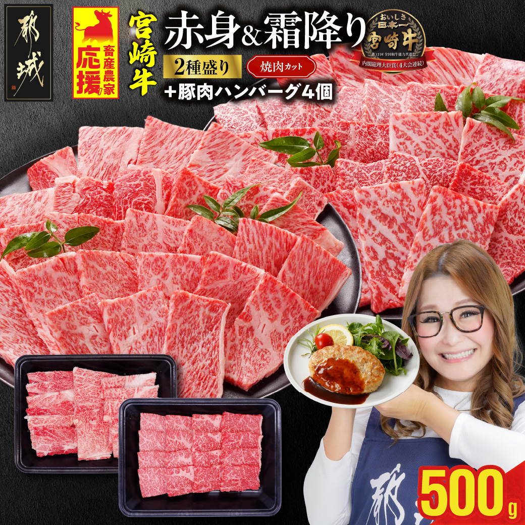 畜産農家応援! 宮崎牛焼肉2種セット250g×2パック+豚肉ハンバーグ100g×4個_13-N202-ESH