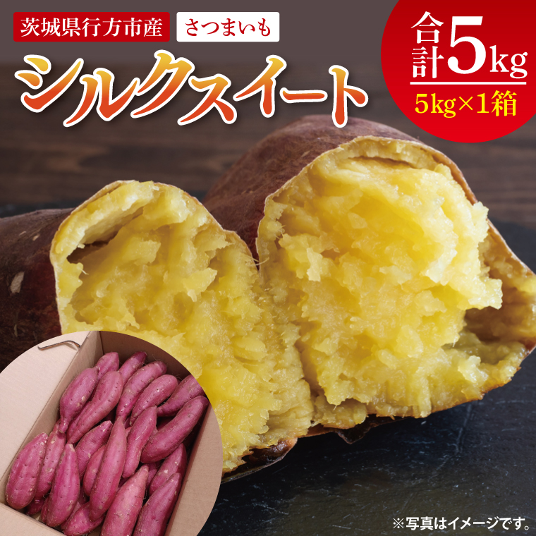【茨城県行方市】【2025年9月より順次発送】さつまいも(シルクスイート) 約5kg|さつまいも 芋 サツマイモ シルクスイート 先行予約 茨城県 行方市(HP-2)