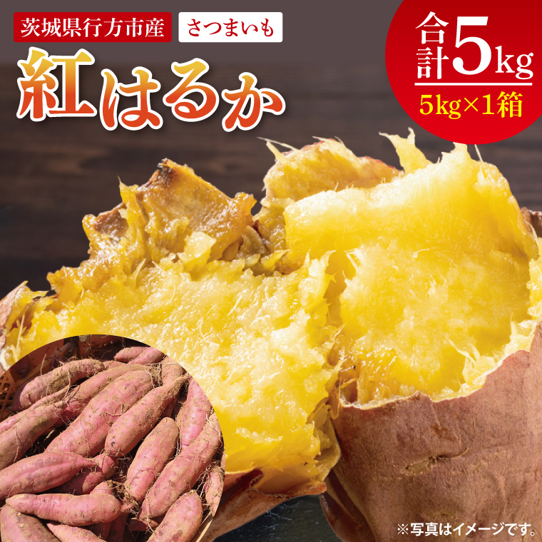 【茨城県行方市】【2025年9月より順次発送】さつまいも(紅はるか) 約5kg|さつまいも 芋 サツマイモ 紅はるか 先行予約 茨城県 行方市(HP-1)