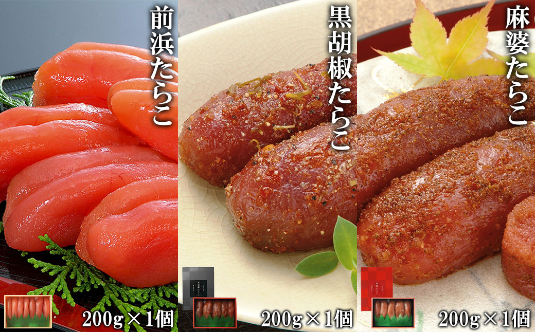 ykCzۑNꐅY 炱3Zbg v600g ΘpY炱 Ӟ炱 k炱
