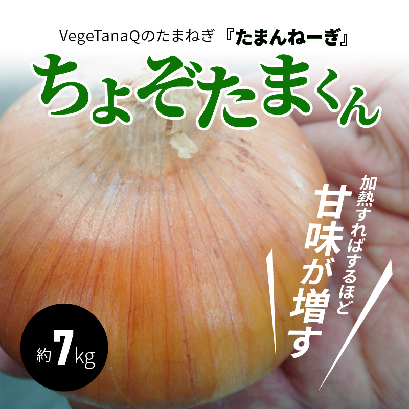 しらす屋のしらす干し1.5kg 食べ比べセット H006-004 / 愛知県碧南市 | セゾンのふるさと納税