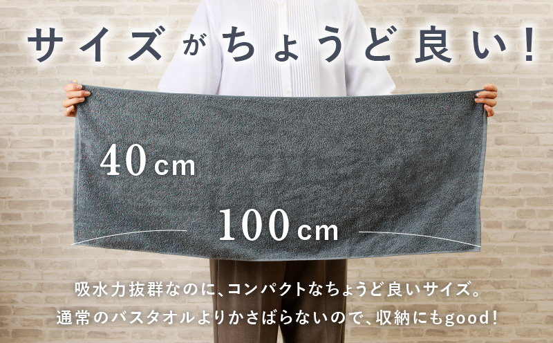 大阪府泉佐野市のふるさと納税 コンパクトバスタオル 6枚 シックグレー【速乾 中厚 ロングヘア—にも最適 泉州タオル 国内製造 国産 吸水 普段使い シンプル 日用品 家族 ファミリー】 010B962