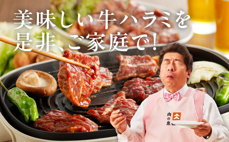 大阪府泉佐野市のふるさと納税 冷蔵配送 牛ハラミ タレ漬焼肉 1.5kg（300g×5） G1787