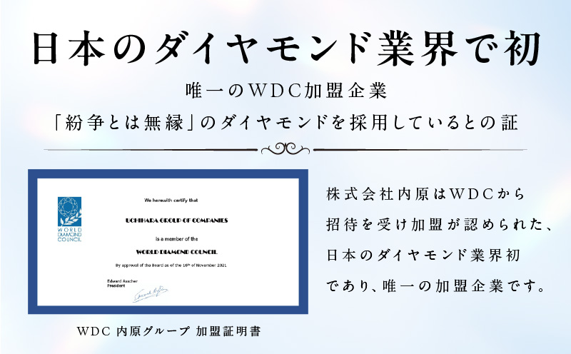 大阪府泉佐野市のふるさと納税 アルカンシェルプラチナ ダイヤハートペンダント(計 0.05ct)【鑑別書付き ジュエリー プレゼント ギフト ファッション アクセサリー 贈り物 贈答 お祝い 記念日】 J033