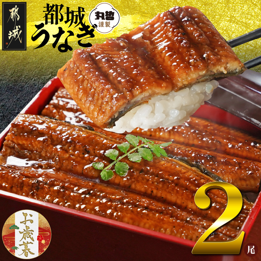 [お歳暮]宮崎県育ちのうなぎ蒲焼2尾300g以上≪山椒・たれ付≫≪11月17日〜12月21日お届け≫_13-M301-WG