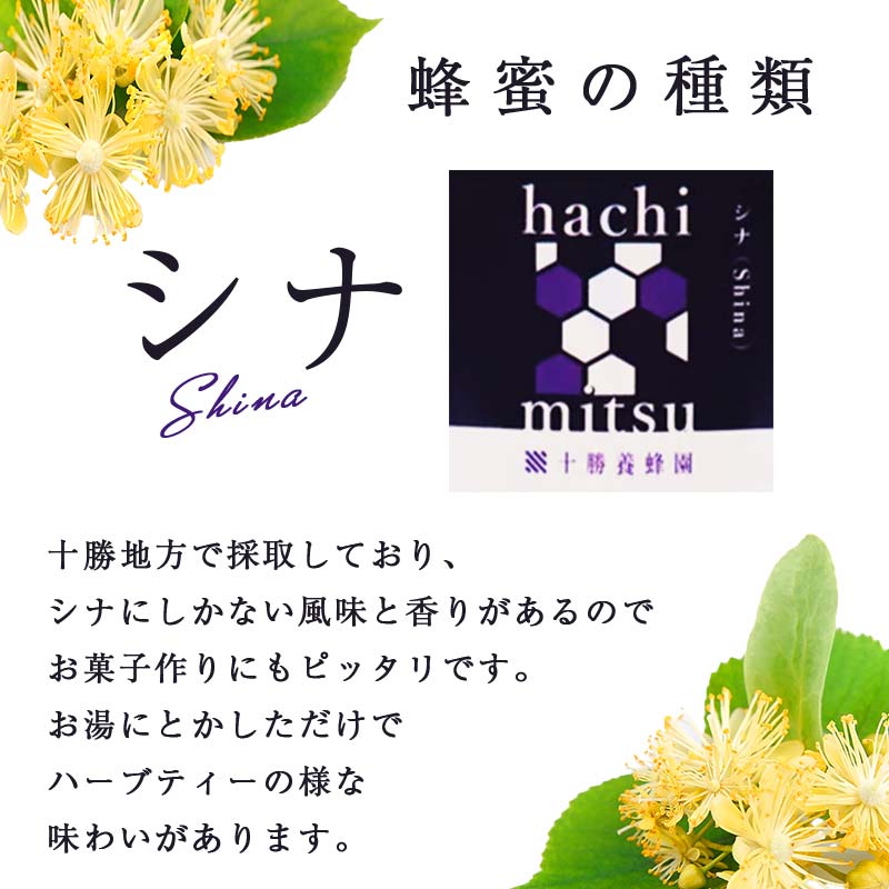 北海道のふるさと納税 【北のハイグレード2024】シナ(菩提樹)蜂蜜160g×1 F6S-159