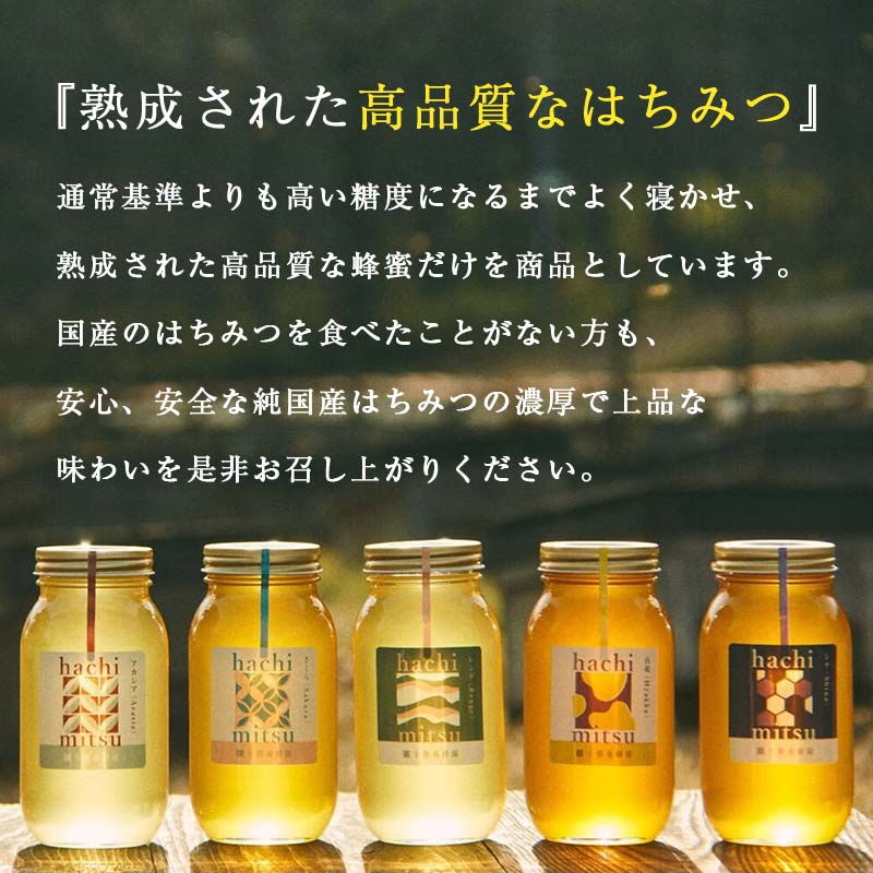 北海道のふるさと納税 【北のハイグレード2024】シナ(菩提樹)蜂蜜160g×1 F6S-159