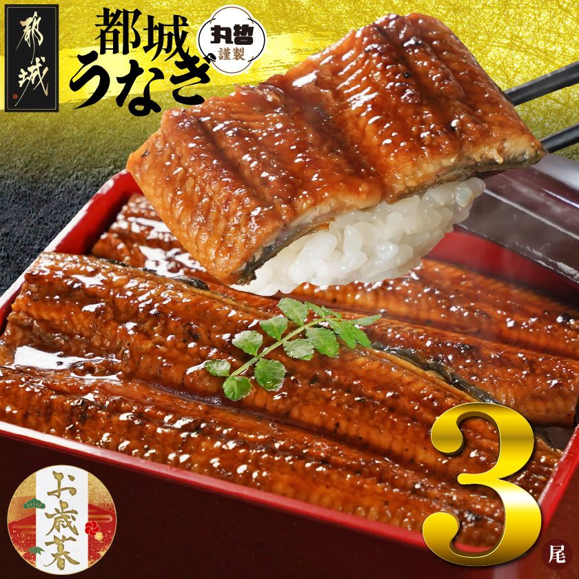 [お歳暮]宮崎県育ちのうなぎ蒲焼3尾500g以上≪山椒・たれ付≫≪11月17日〜12月21日お届け≫