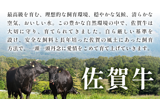 佐賀県大町町のふるさと納税 艶さし！【A4～A5】佐賀牛 切り落とし1kg (500g×2p)