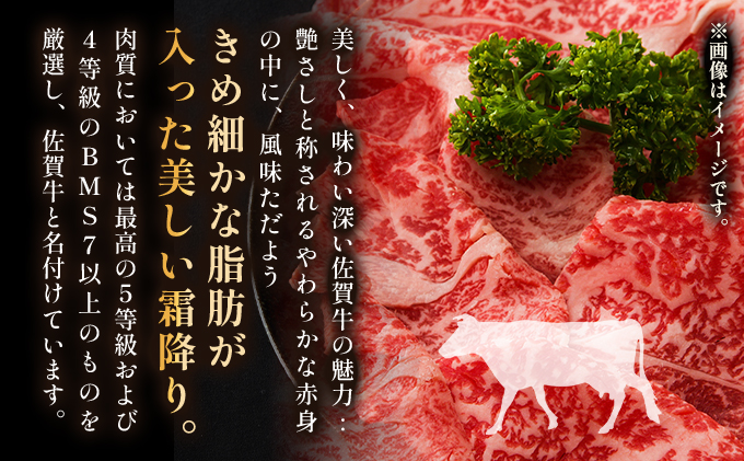 佐賀県大町町のふるさと納税 艶さし！【A4～A5】佐賀牛 切り落とし1kg (500g×2p)