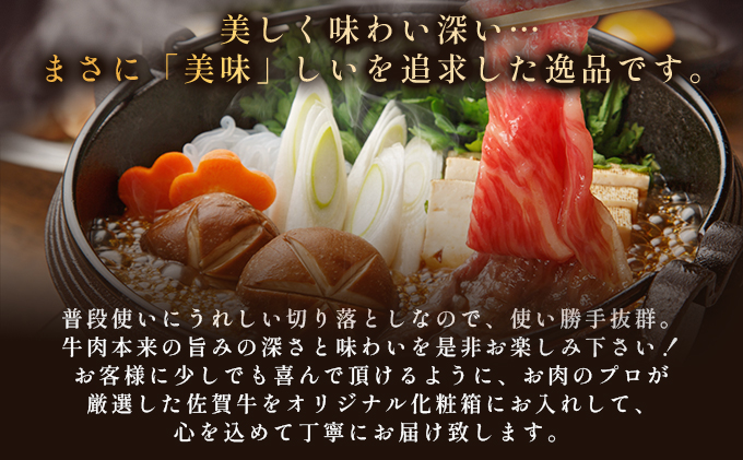 佐賀県大町町のふるさと納税 艶さし！【A4～A5】佐賀牛 切り落とし1kg (500g×2p)
