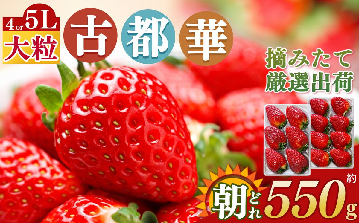 平群の古都華 いちご 4Lまたは5Lサイズ(1種×2パック)
