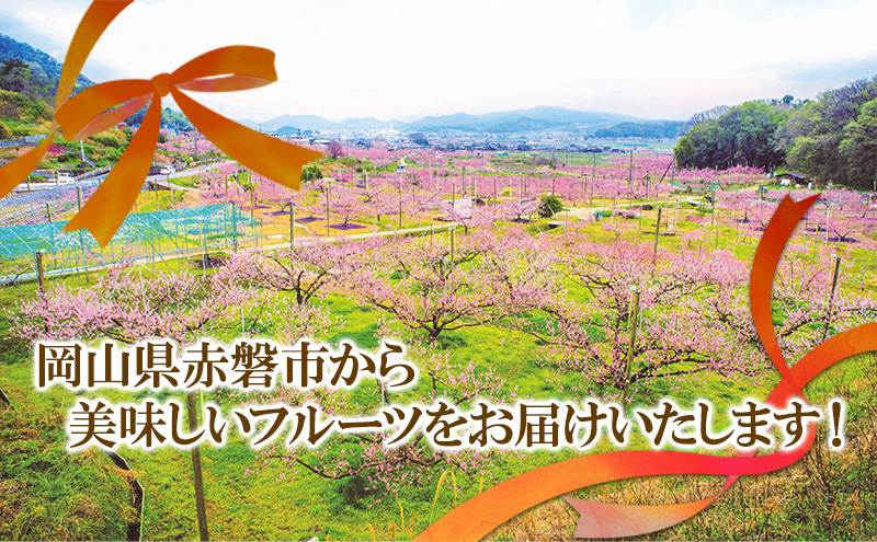 岡山県赤磐市のふるさと納税 梨 2024年 新高梨（にいたかなし）4玉入り(約4kg）赤磐市赤坂産 なし フルーツ 果物
