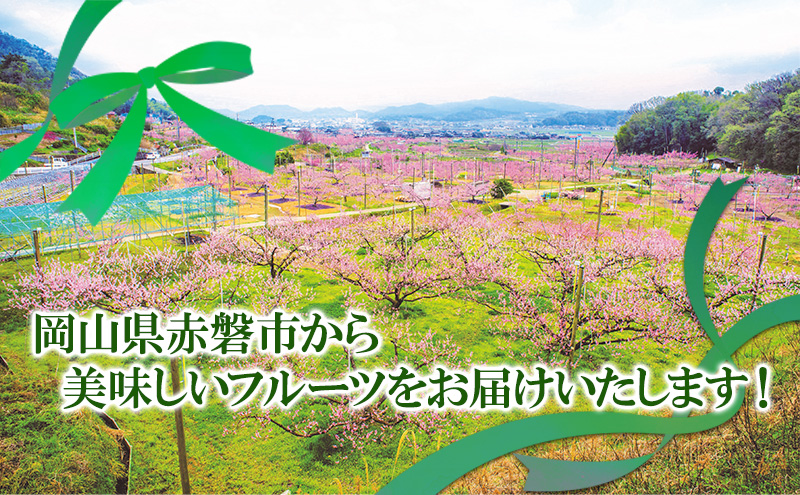 岡山県赤磐市のふるさと納税 ぶどう 2025年 先行予約 シャイン マスカット 晴王 1房 650g以上 2025年6月下旬～7月下旬発送分 ブドウ 葡萄 岡山県 赤磐市産 国産 フルーツ 果物 ギフト 赤坂青空市 シャインマスカット