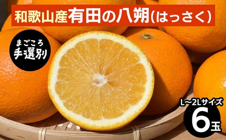 産地直送】和歌山県有田産 紅はっさく（紅八朔）「優品」 （4.5