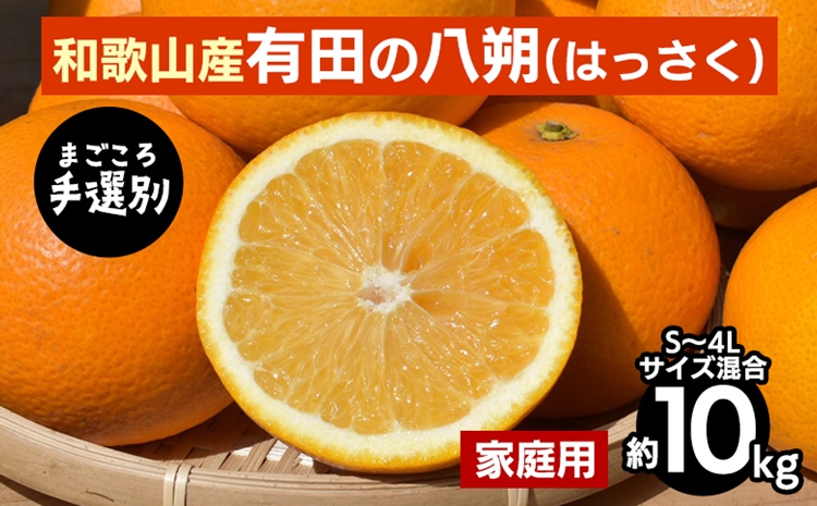 和歌山県産 紀州南高梅 黄色 訳あり 2L〜4L混合サイズ 箱込み約10kg以上 和歌山県産 紀州南高梅 黄色 訳あり 2L〜4L混合サイズ 箱込み約