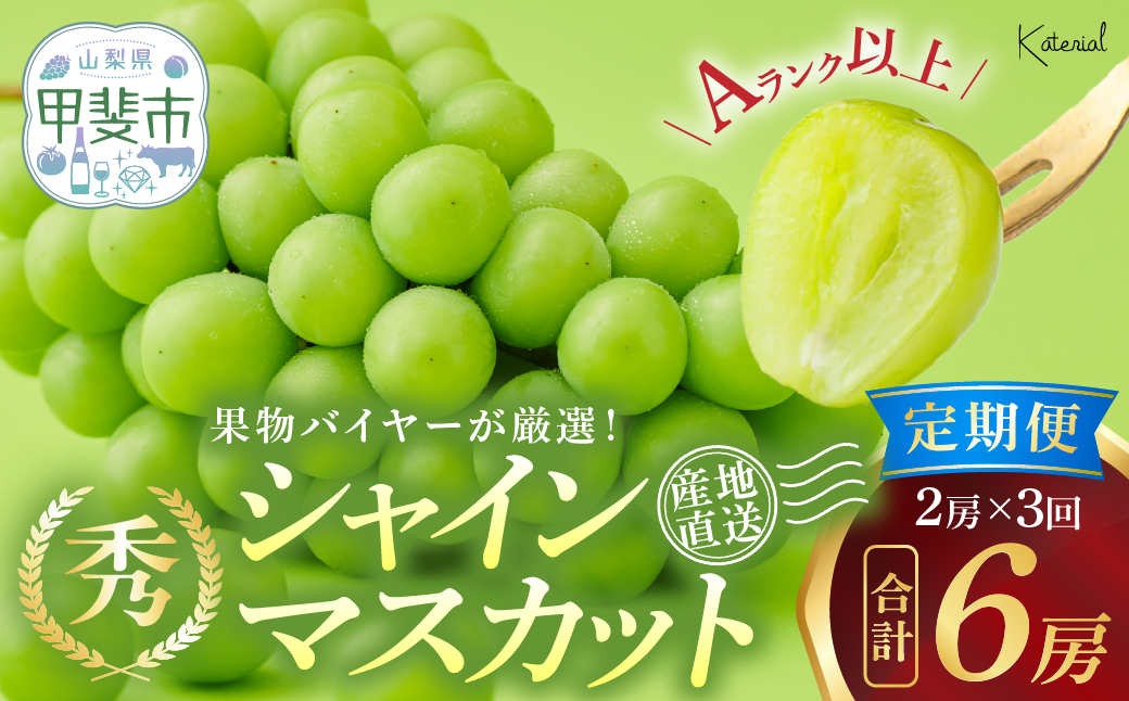 甲斐の地が育てたパリッと弾けるジューシーな甘さをご堪能ください! [2025年分発送]定期便 シャインマスカット 2房 約1.3kg×3回 先行予約 先行 予約 山梨県産 国産 産地直送 人気 おすすめ 贈答 ギフト お取り寄せ フルーツ 果物 くだもの ぶどう ブドウ 葡萄 シャイン シャインマスカット 新鮮 甘い 皮ごと 山梨 甲斐市 AD-248