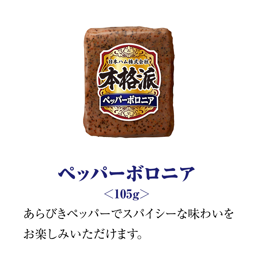 茨城県筑西市のふるさと納税 日本ハム 筑西工場 本格派 ギフトセットA 肉 にく 贈答 ギフト 詰め合わせ ハム ソーセージ ウィンナー 生ハム [AA079ci]