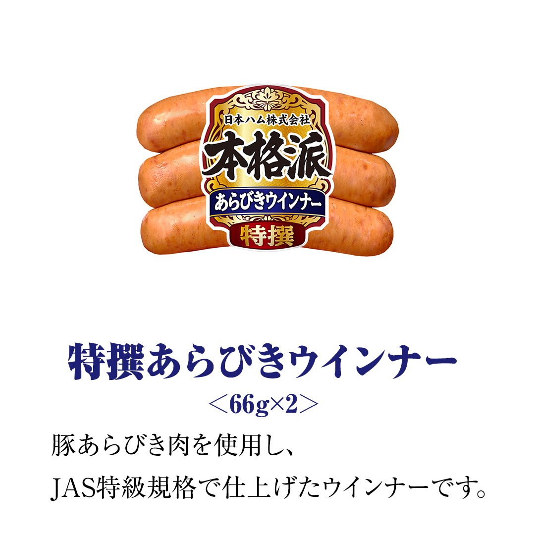 茨城県筑西市のふるさと納税 日本ハム 筑西工場 本格派 ギフトセットB 肉 にく 贈答 ギフト 詰め合わせ ハム ソーセージ ウィンナー 生ハム 焼豚 [AA081ci]