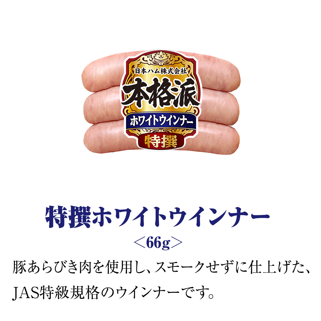 茨城県筑西市のふるさと納税 日本ハム 筑西工場 本格派 ギフトセットB 肉 にく 贈答 ギフト 詰め合わせ ハム ソーセージ ウィンナー 生ハム 焼豚 [AA081ci]
