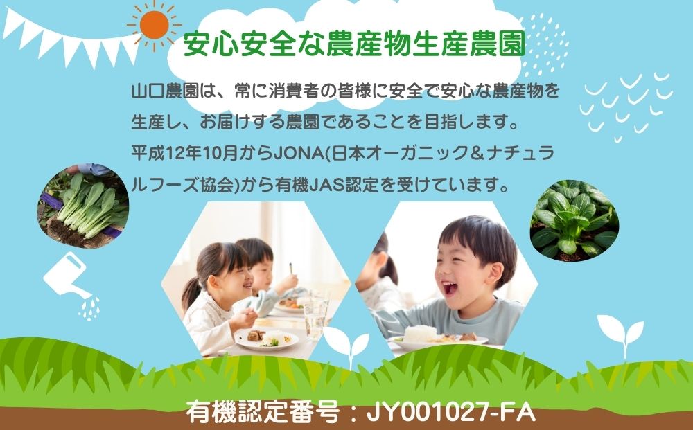 奈良県宇陀市のふるさと納税 農家のたっぷり野菜カレー 10個／ふるさと納税 レトルトカレー 詰め合わせ 無添加 ギフト 10食 野菜 ふるさと 有機野菜 オーガニック 飯 簡単 時短 保存食 奈良県 宇陀市 山口農園