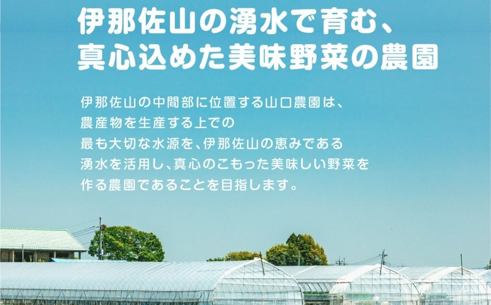 奈良県宇陀市のふるさと納税 農家のたっぷり野菜カレー 10個／ふるさと納税 レトルトカレー 詰め合わせ 無添加 ギフト 10食 野菜 ふるさと 有機野菜 オーガニック 飯 簡単 時短 保存食 奈良県 宇陀市 山口農園