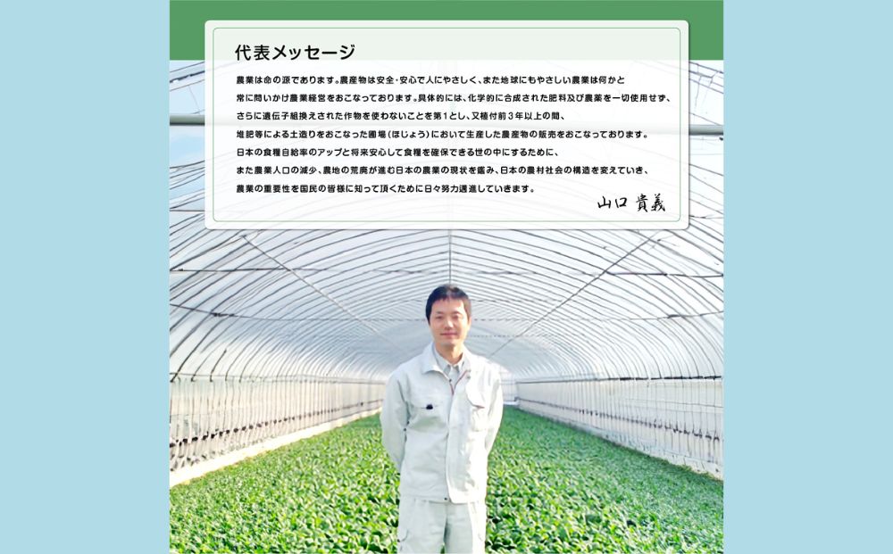 奈良県宇陀市のふるさと納税 農家のたっぷり野菜カレー 10個／ふるさと納税 レトルトカレー 詰め合わせ 無添加 ギフト 10食 野菜 ふるさと 有機野菜 オーガニック 飯 簡単 時短 保存食 奈良県 宇陀市 山口農園