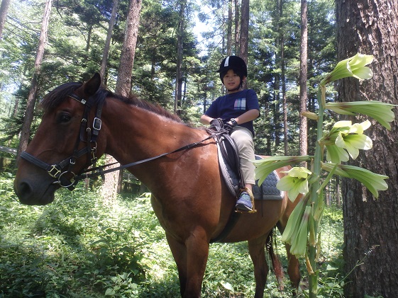 長野県小諸市のふるさと納税 まきば軽井沢　ほっこり50分乗馬体験　1名様 長野 信州 小諸 大自然 体験チケット