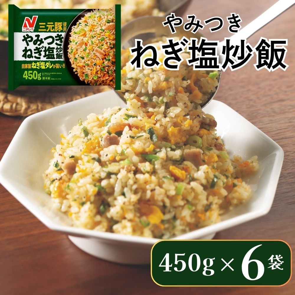 ニチレイフーズ やみつきねぎ塩炒飯 450g 6袋 冷凍食品 冷凍チャーハン 船橋市
