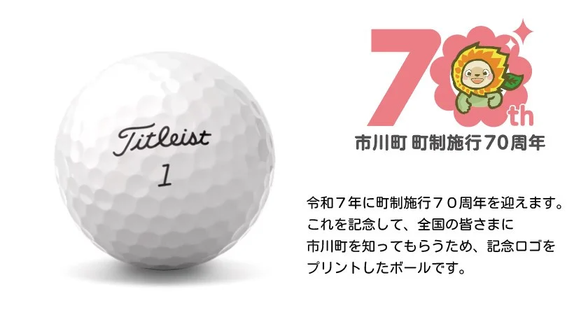 兵庫県市川町のふるさと納税 タイトリストPRO V1　ホワイト（1ダース12個）オリジナルロゴ入り　022IC01N.／ゴルフ ゴルフボール ボール ゴルフグッズ ゴルフ用品 titleist