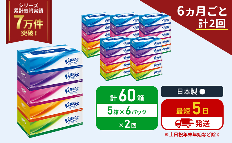 定期便 ティッシュ クリネックス ティシュ