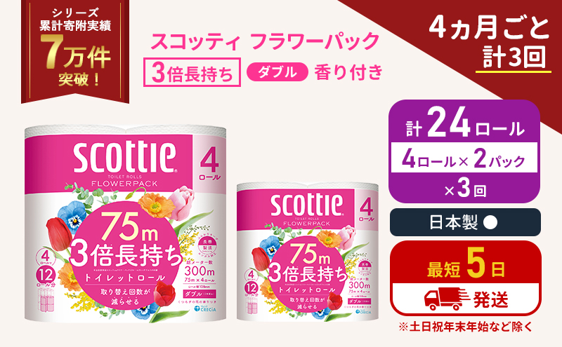 定期便 トイレットペーパー ダブル 3倍 