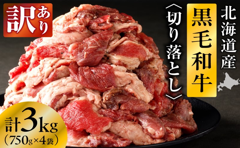 【北海道滝川市】長谷川精肉店 訳あり 北海道産 黒毛和牛 牛すじ 切り落とし 750g×4袋 計3kg 和牛 北海道 滝川市 【配達不可:離島】