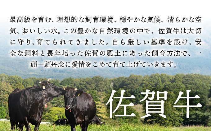 佐賀県大町町のふるさと納税 訳あり！【A4～A5】佐賀牛モモブロック（ローストビーフ用等）約500ｇ〜600ｇ