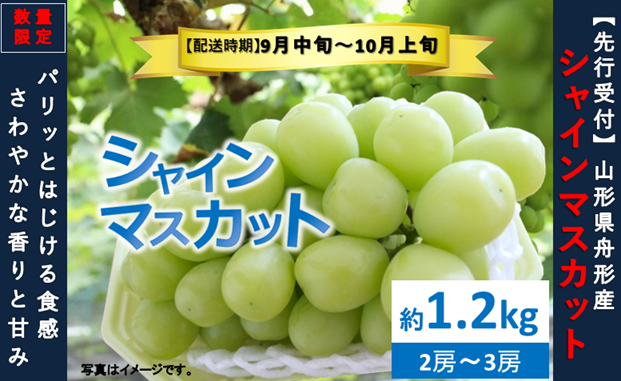 シャインマスカット約1.2kg（2～3房）