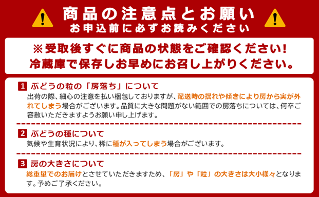 山形県舟形町のふるさと納税 シャインマスカット約1.2kg（2～3房）数量限定　2025年先行予約