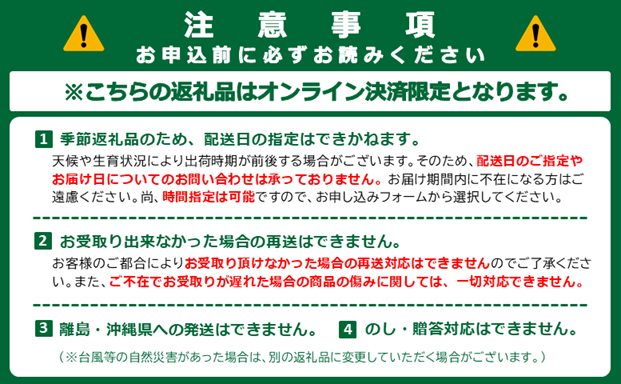 山形県舟形町のふるさと納税 シャインマスカット約1.2kg（2～3房）数量限定　2025年先行予約