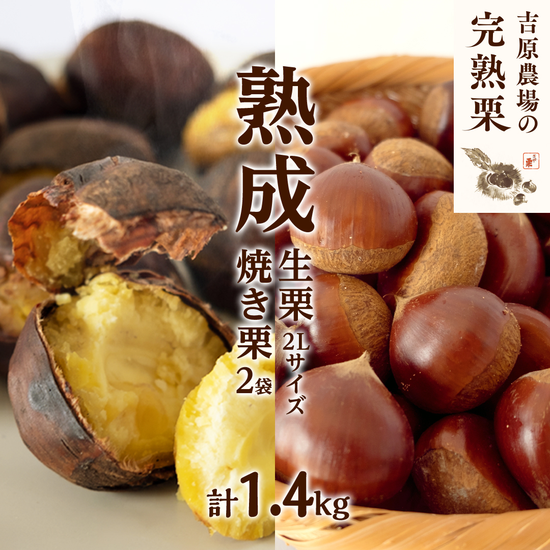 吉原農場 の 完熟栗 】 熟成 生栗 1kg 2Lサイズ ・ 焼き栗 2袋 セット